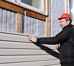 Best Siding Painting and Refinishing  in Fox Lake, IL